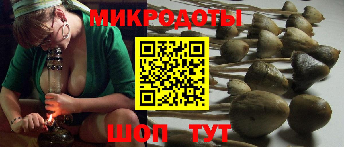 Брянск  Галлюциногенные грибы Psilocybine cubensis  Вход с VPN 
