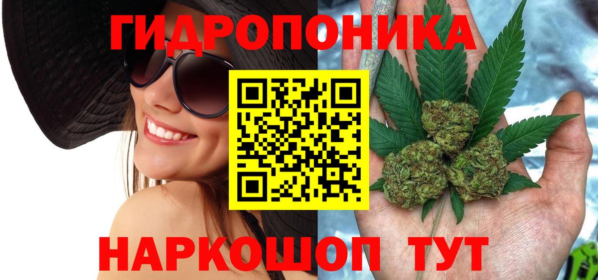 Брянск  Каннабис SATIVA & INDICA  Конопля семена  Вход с VPN 